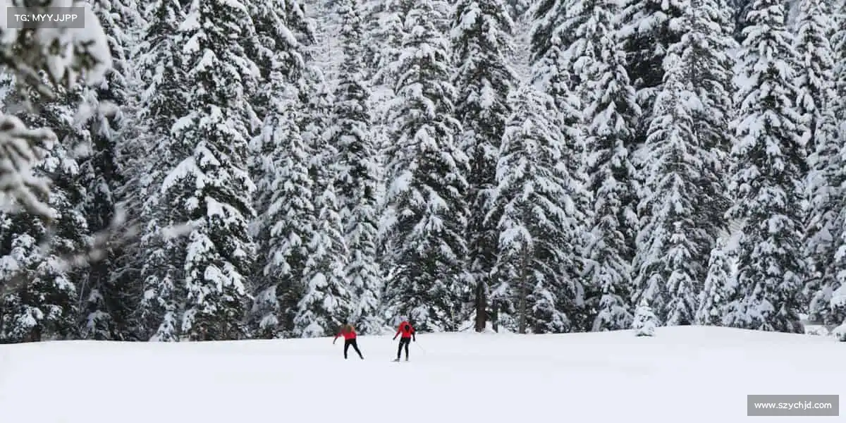 星空娱乐球场上的默契配合,是团队最燃的高光时刻⚽